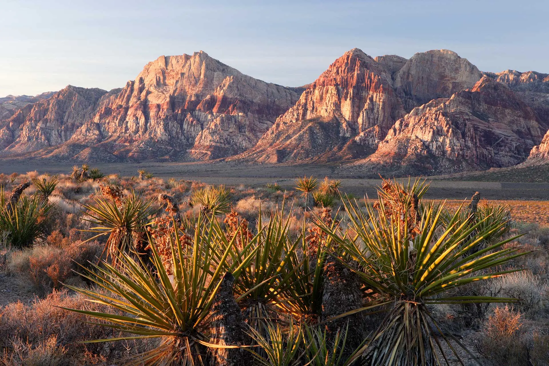 Morning at Red Rocks